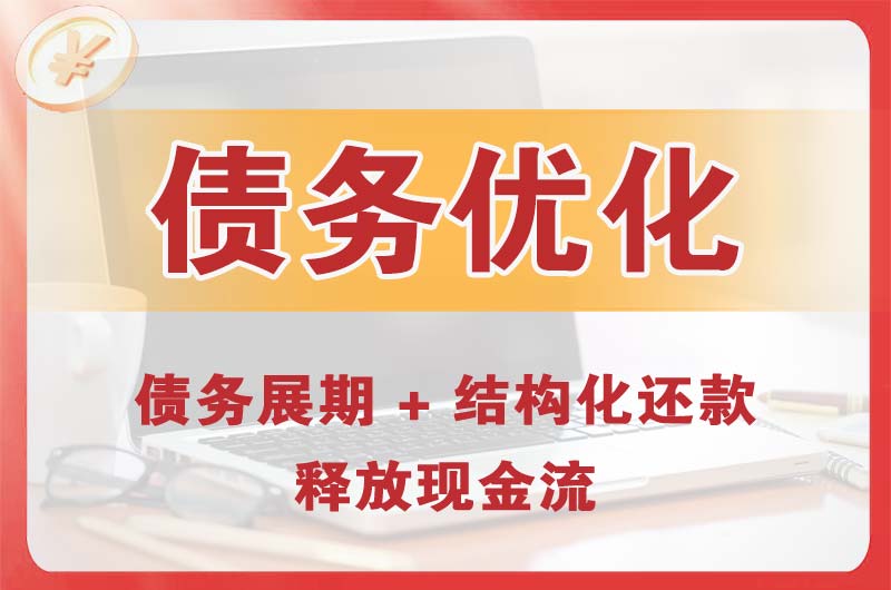 吴忠债务优化